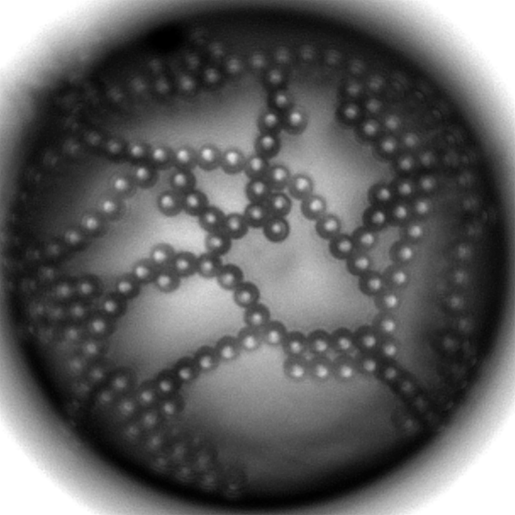 Microparticles forming a network of chains at the interface of a bubble. The microstructures formed by colloids at fluid interfaces are usually due to electrostatics and capillarity. This unique pattern was obtained by deforming a bubble decorated with colloidal particles with ultrasonic waves, resulting in complex interactions between the particles.