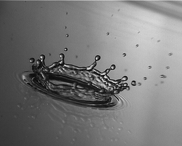 The oblique splash of a 3.3 mm diameter water droplet on a thin flowing liquid film. The droplet's fall height is 0.25 m from the impact surface while the film is flowing at 3 L/min, on a glass substrate inclined 15 degrees to the horizontal. Image captured 7.2 ms after impact.